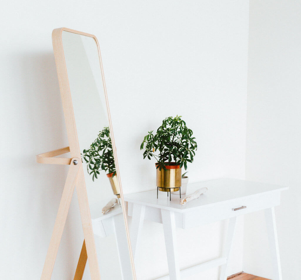 A mirror and plant